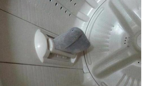洗衣機過濾網怎么清洗