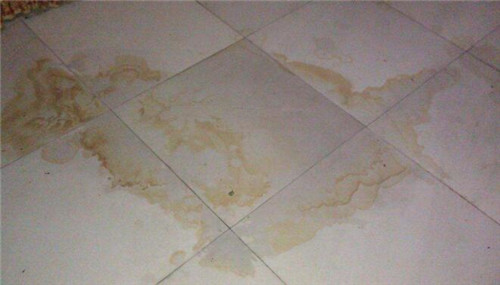 浴室瓷磚頑固水垢清除妙招